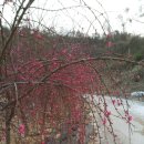 도화농장 이미지