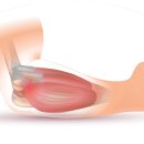 솔찬한의원 이미지