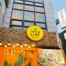 [강남맛집] 내돈내산 파파야 리프 / 구스 아일랜드 브루하우스 솔직후기