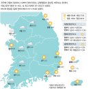 포근한오후
