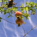 작은풍경 이미지