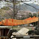 탄산수사우나 이미지