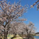 영강체육공원길 이미지