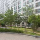 행함유치원 이미지