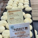 NR-22[중앙로]-하-173 | [경북/안동] 전국 3대 빵집 빵지순례 크림치즈빵 내돈내산 솔직 후기: 맘보스베이커리 본점
