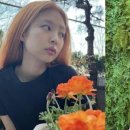 오렌지헤어 - 대덕구 중리동 | 오렌지헤어