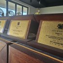 메이저 애견훈련학교 이미지