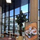 시민문화회관 | 군산 카페 추천 카페 GCC (구, 군산시민문화회관) 내돈내산