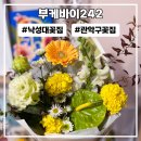 부케바이242 이미지