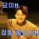 SY크레이티브