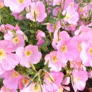 대신하다 / 이신동 이미지