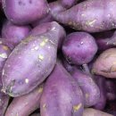 (주)장보고식자재마트 이미지