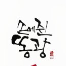 똥광 이미지