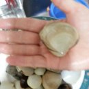 부엉이민박 이미지