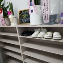 박성광온리원태권도 이미지