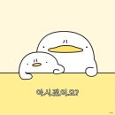 백조미디어 | 5월 어린이날 극성수기 에버랜드🐼 방문기 1탄 (자바라의자 후기)
