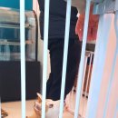 두류댕댕 이미지