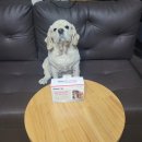 이플러스아진 이미지