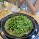 강원도를 갔다. 사고다! 그런데 대구 복귀 중에 또 새버렸다?