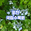 세븐일레븐 광릉수목원점 | [포천 수목원]국립수목원 후기!!