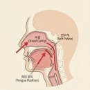 기초베트남어 배우기 과정 이미지