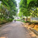 서곶근린공원 축구장 이미지