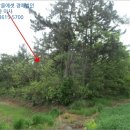 대진보건진료소 이미지