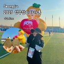 [러닝] 2025 성주 참외마라톤 10km 참가후기 기념품 먹거리천국 ❣️