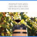 만성농장 이미지