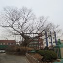 부천여자중학교 이미지