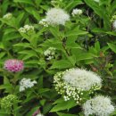 1647 | 쥐 찬 소로기들아 : 구지정(具志禎 1647~1713)