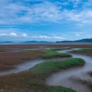 후크선장과 바다낚시 이미지