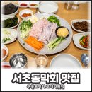 구룡포막회 | 서초동막회 맛집 구룡포막회 교대역횟집 후기