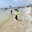2024 보령머드축제, 대천해수욕장 아이랑 가볼만한 곳