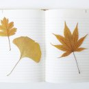 검정고시(고등) 이미지