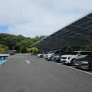 충남 예산여행 예당호 출렁다리 모노레일 강추