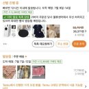 또또리폼점 | #7월일상 | ①. 나락도 락이다🥵 | W. 보자기카드 청접장