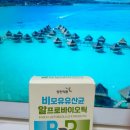 제이비유통 - 강서구 | [리뷰] 온가족 장건강 치트키! 비 모유유산균 엔 알 프로바이오틱 BNR유산균 유산균추천