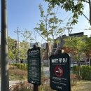 용두희망어린이집 | 용두동 하늘구름공원 산책 후기, 성북천 옆 환한 근린공원