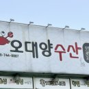 오대양수산횟집 네이버블로그