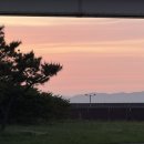 주옥홈