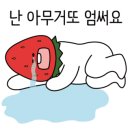 몽비어 이미지