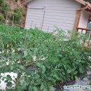 어답산민박 이미지