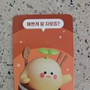 [앱테크] 오늘의가든 우드 수저세트 배송 후기 (feat. 소요시간, 레벨)