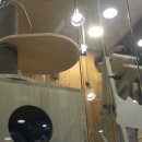 청주지웰동물병원 이미지