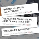 스테이 란 이미지