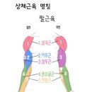 더하남 PT&그룹운동 키네틱캠프 미사점 이미지