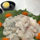 막써는회포차 | [속초막회 맛집] '막써는회포차' 광어+도다리막회 먹고 온 솔직 후기