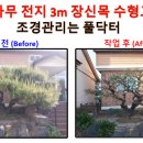 장신조경 네이버블로그