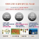 더바른환경 이미지